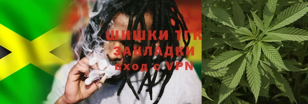 твердый Сатка