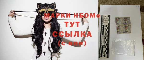 твердый Сатка