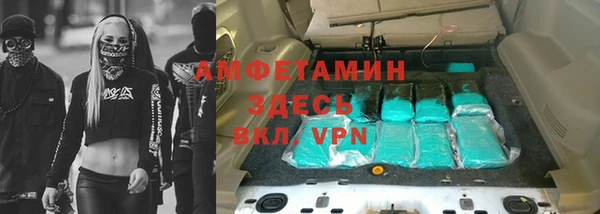 прущие грибы Сафоново
