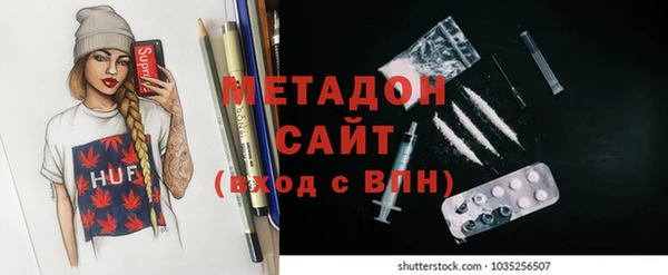 прущие грибы Сафоново