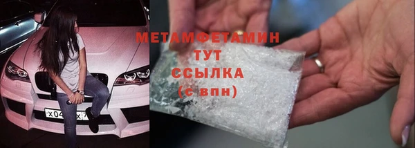 прущие грибы Сафоново