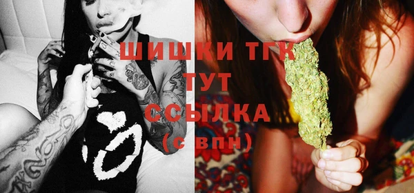 прущие грибы Сафоново