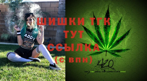 твердый Сатка
