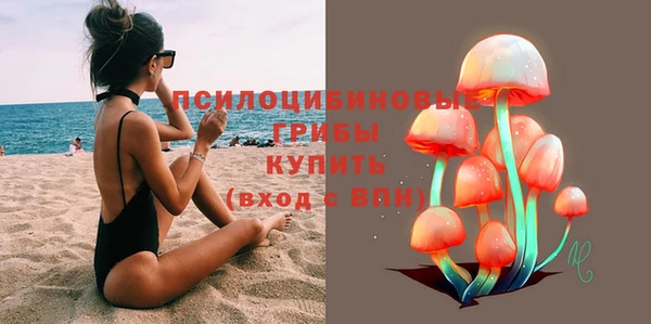 прущие грибы Сафоново